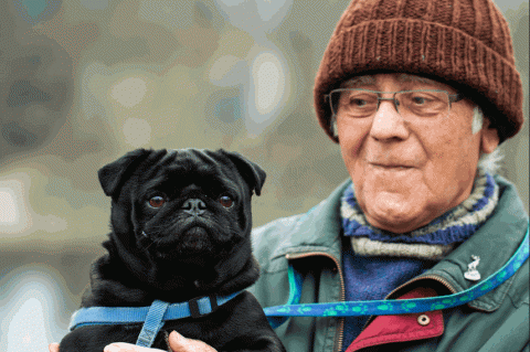 Choosing the right pet for Seniors